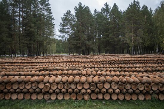 Russia completes program for chemical weapon destruction