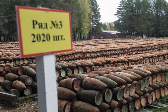 Russia completes program for chemical weapon destruction