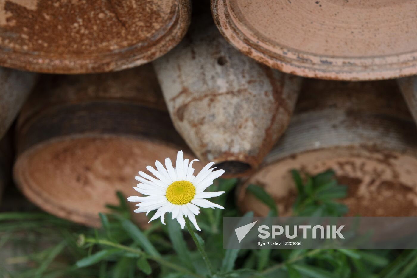 Russia completes program for chemical weapon destruction