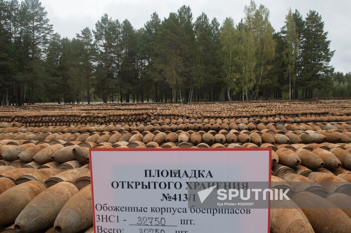 Russia completes program for chemical weapon destruction