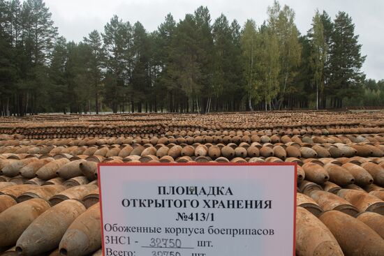Russia completes program for chemical weapon destruction