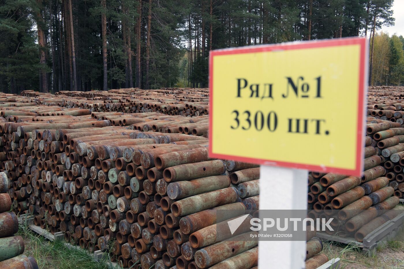 Russia completes program for chemical weapon destruction