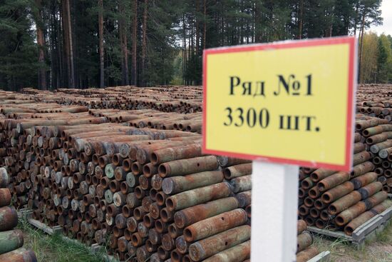 Russia completes program for chemical weapon destruction
