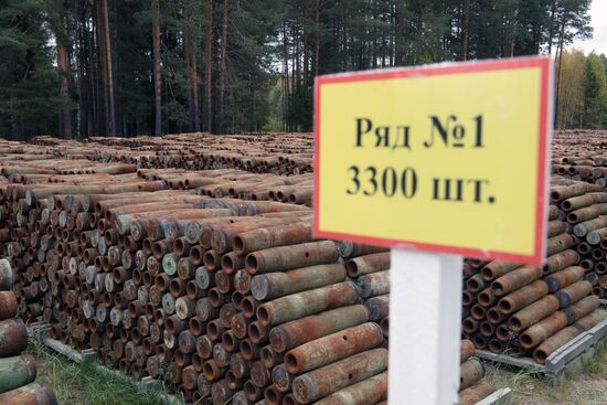 Russia completes program for chemical weapon destruction