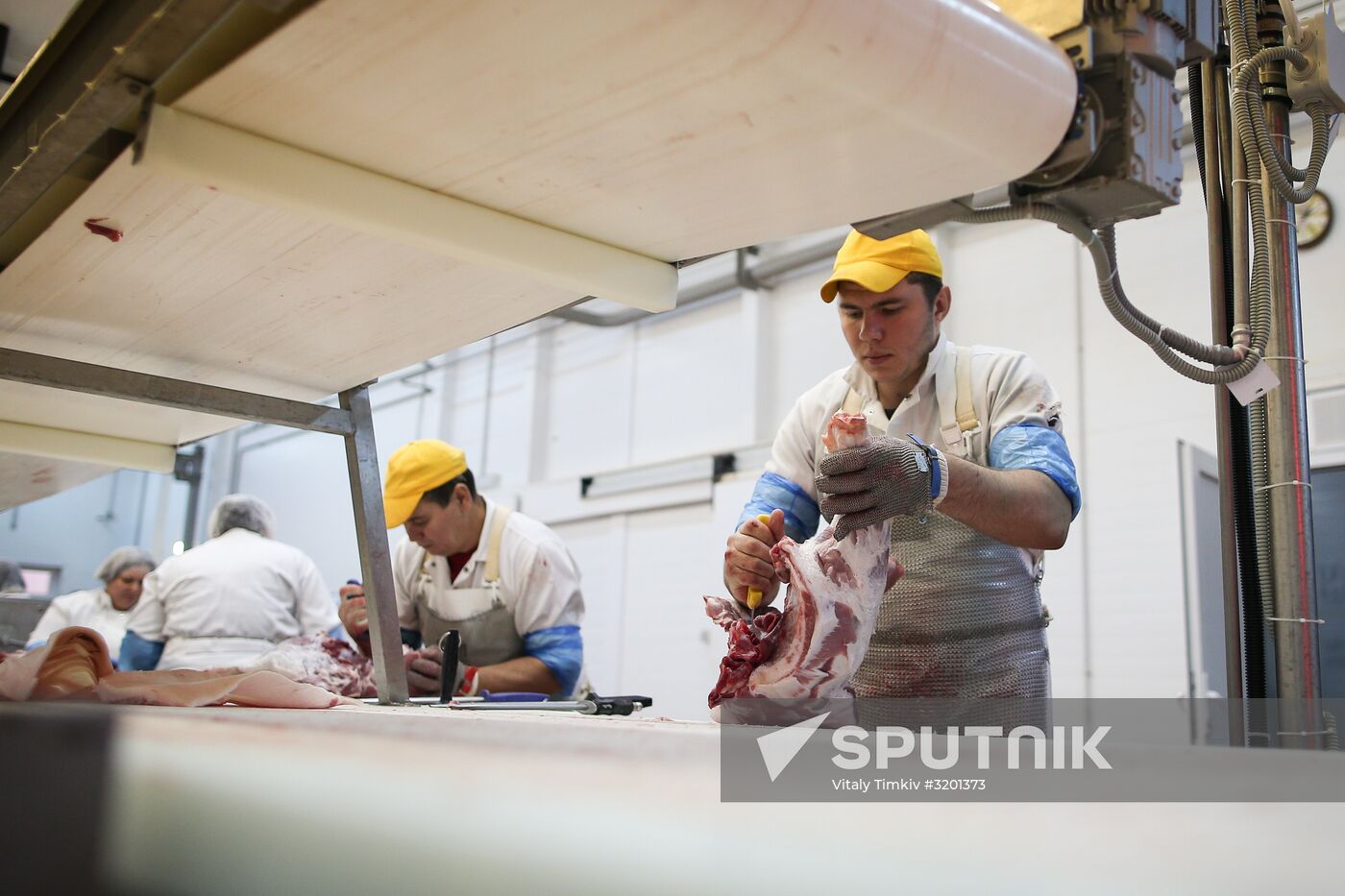 Kuban meat-processing plant in Krasnodar Territory