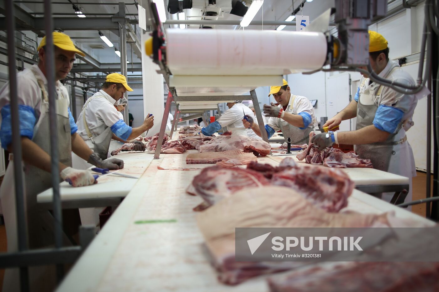 Kuban meat-processing plant in Krasnodar Territory