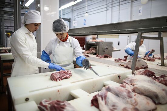 Kuban meat-processing plant in Krasnodar Territory