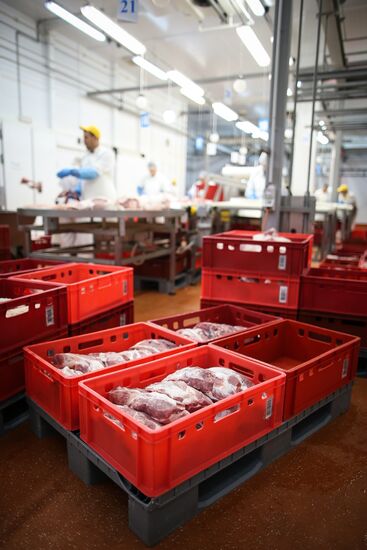 Kuban meat-processing plant in Krasnodar Territory