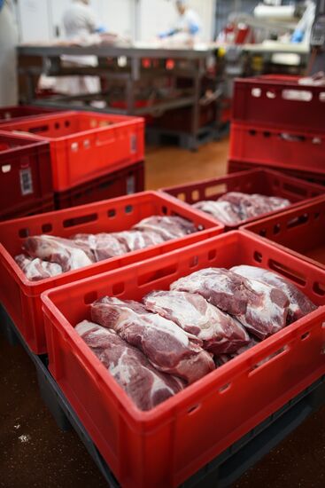 Kuban meat-processing plant in Krasnodar Territory