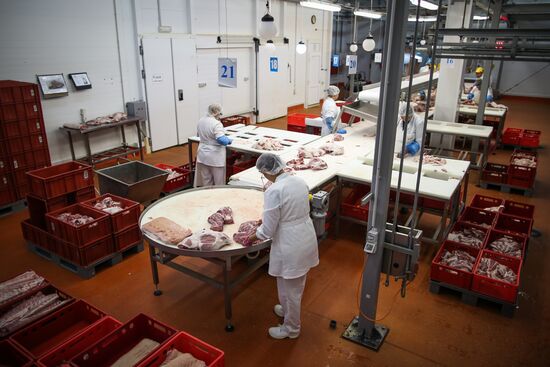 Kuban meat-processing plant in Krasnodar Territory