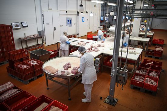 Kuban meat-processing plant in Krasnodar Territory
