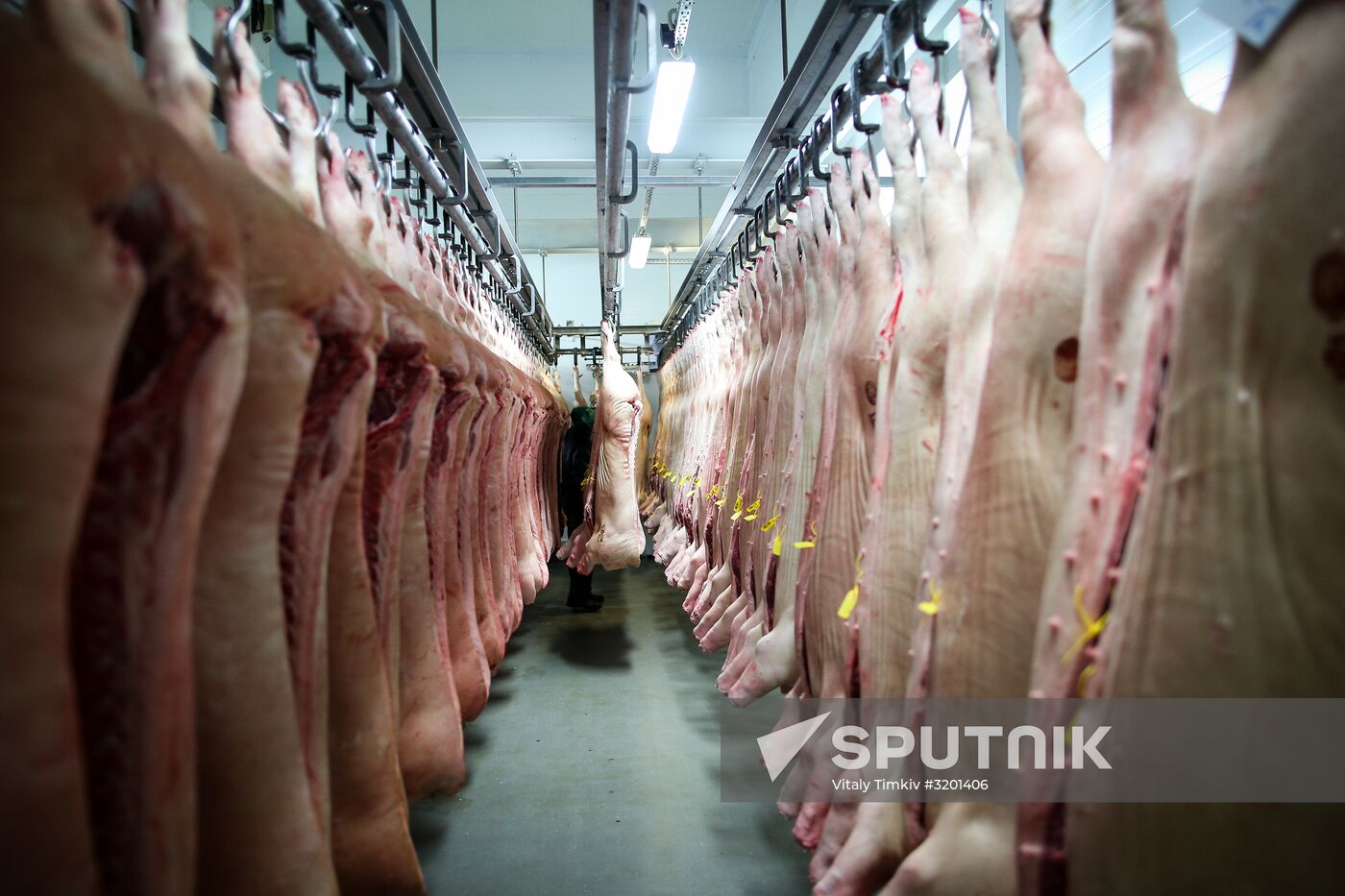 Kuban meat-processing plant in Krasnodar Territory