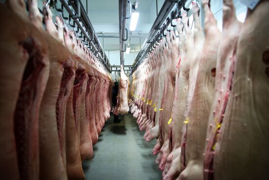 Kuban meat-processing plant in Krasnodar Territory