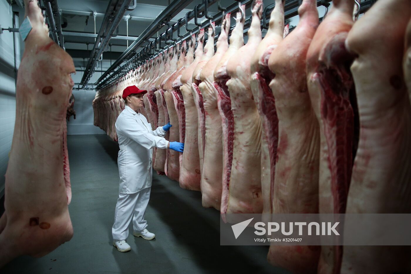 Kuban meat-processing plant in Krasnodar Territory