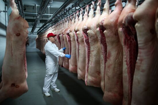 Kuban meat-processing plant in Krasnodar Territory