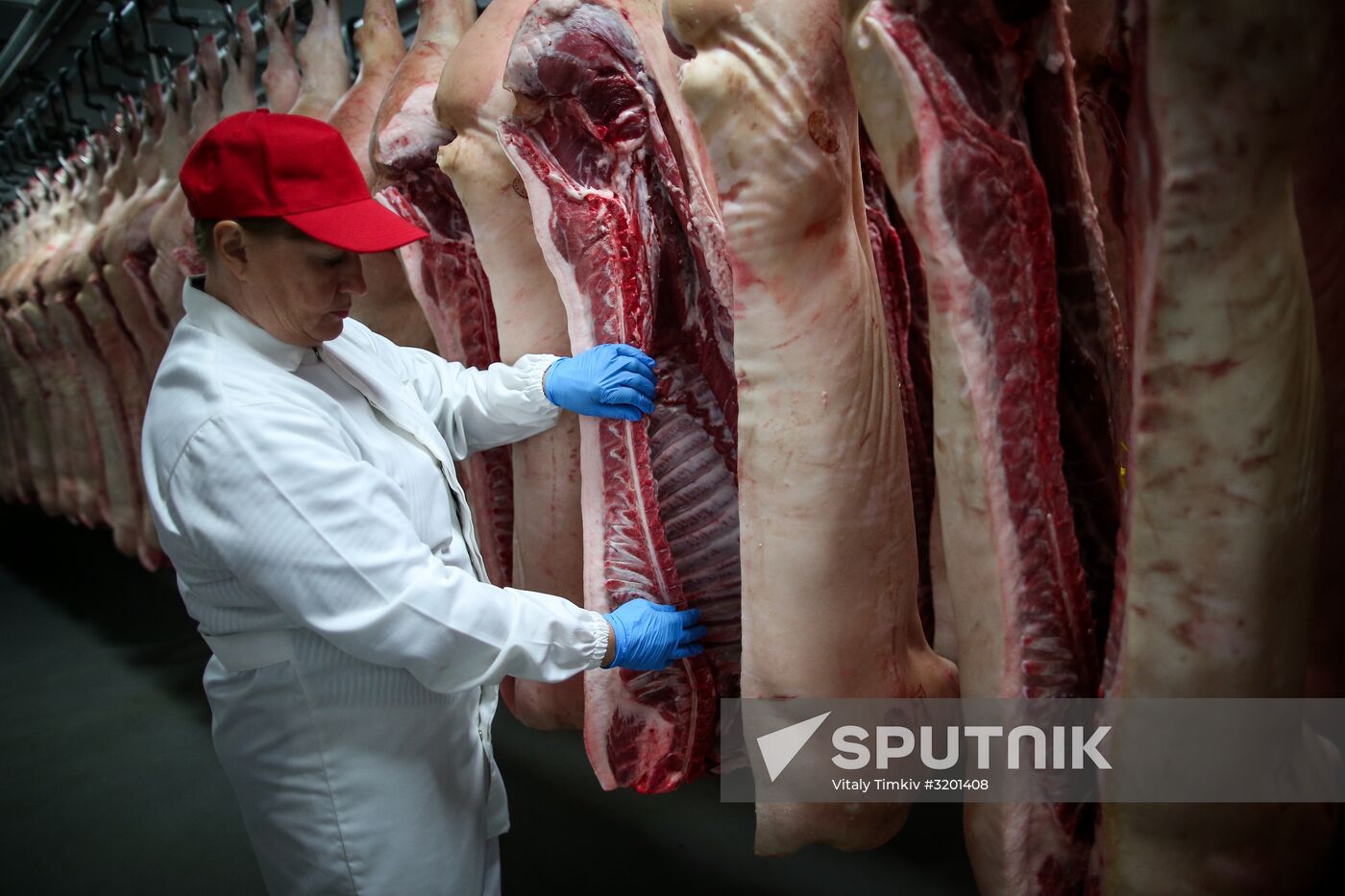 Kuban meat-processing plant in Krasnodar Territory