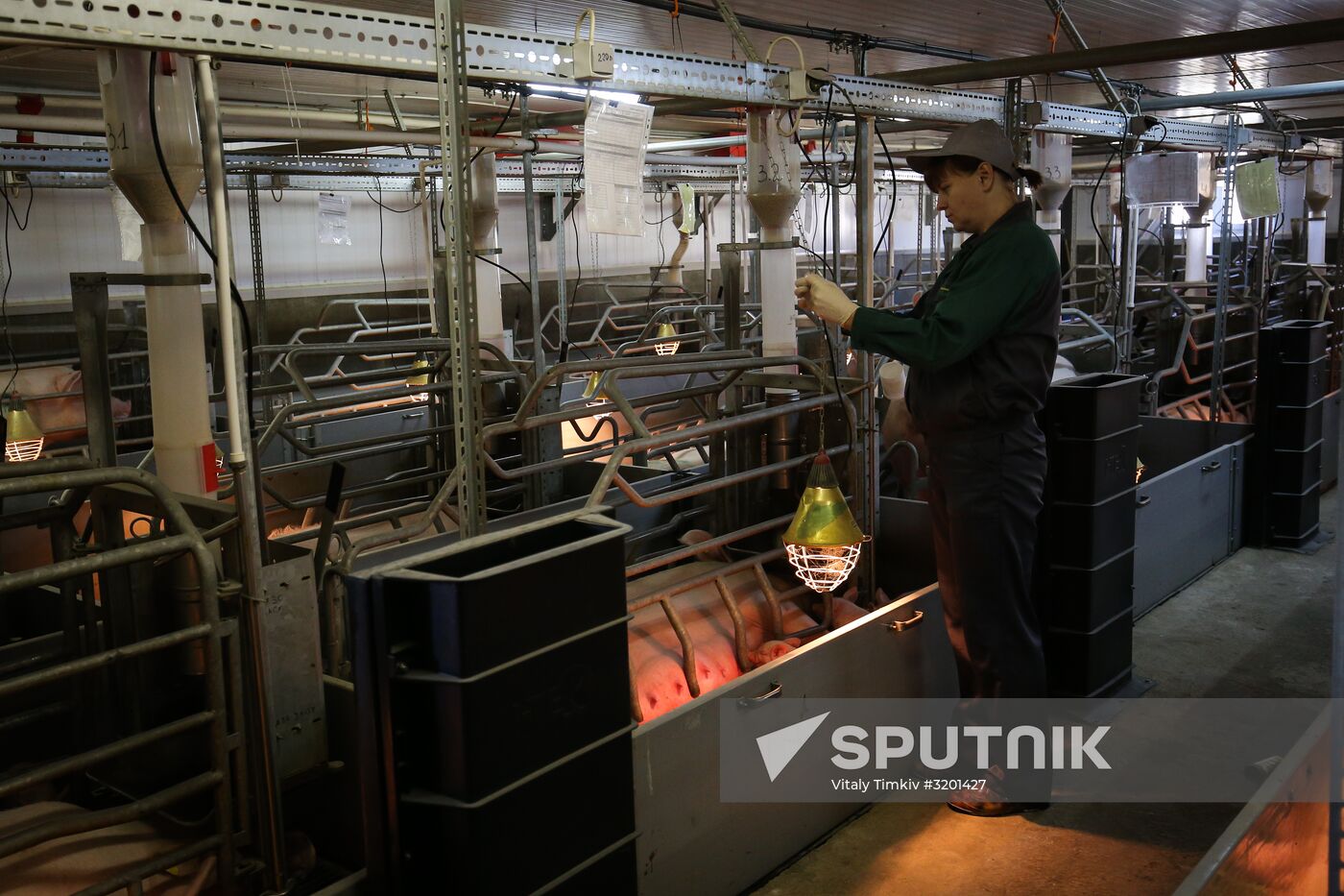 Kuban meat-processing plant in Krasnodar Territory