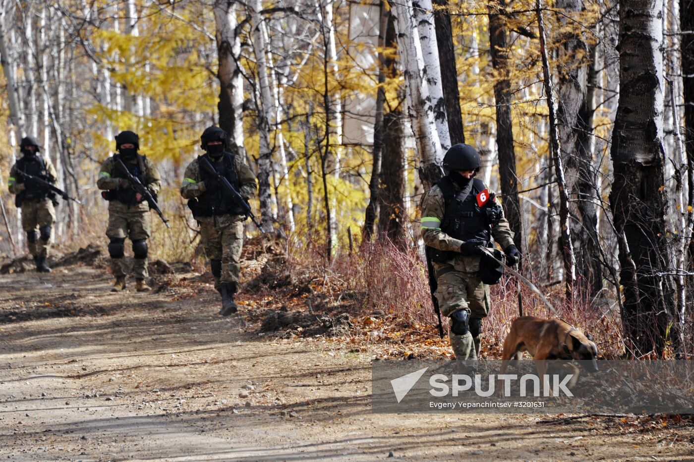 Terrain 2017 military exercise in Trans-Baikal Territory