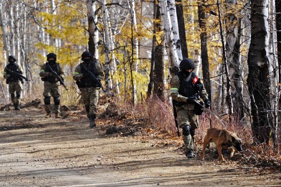 Terrain 2017 military exercise in Trans-Baikal Territory