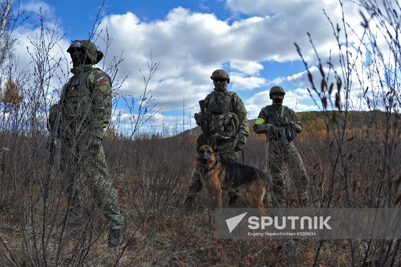 Terrain 2017 military exercise in Trans-Baikal Territory