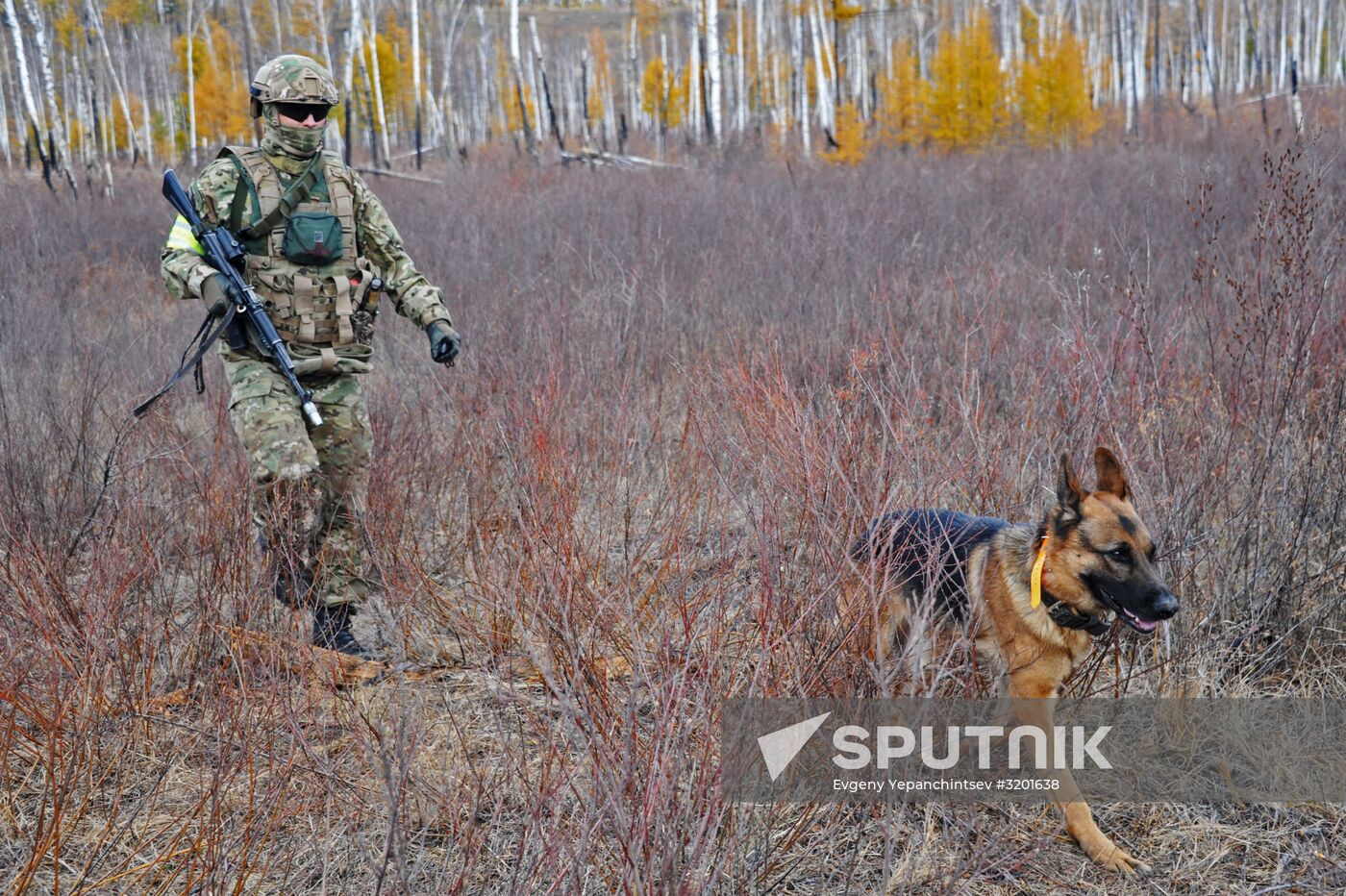 Terrain 2017 military exercise in Trans-Baikal Territory