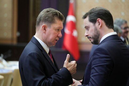 President Vladimir Putin visits Turkey