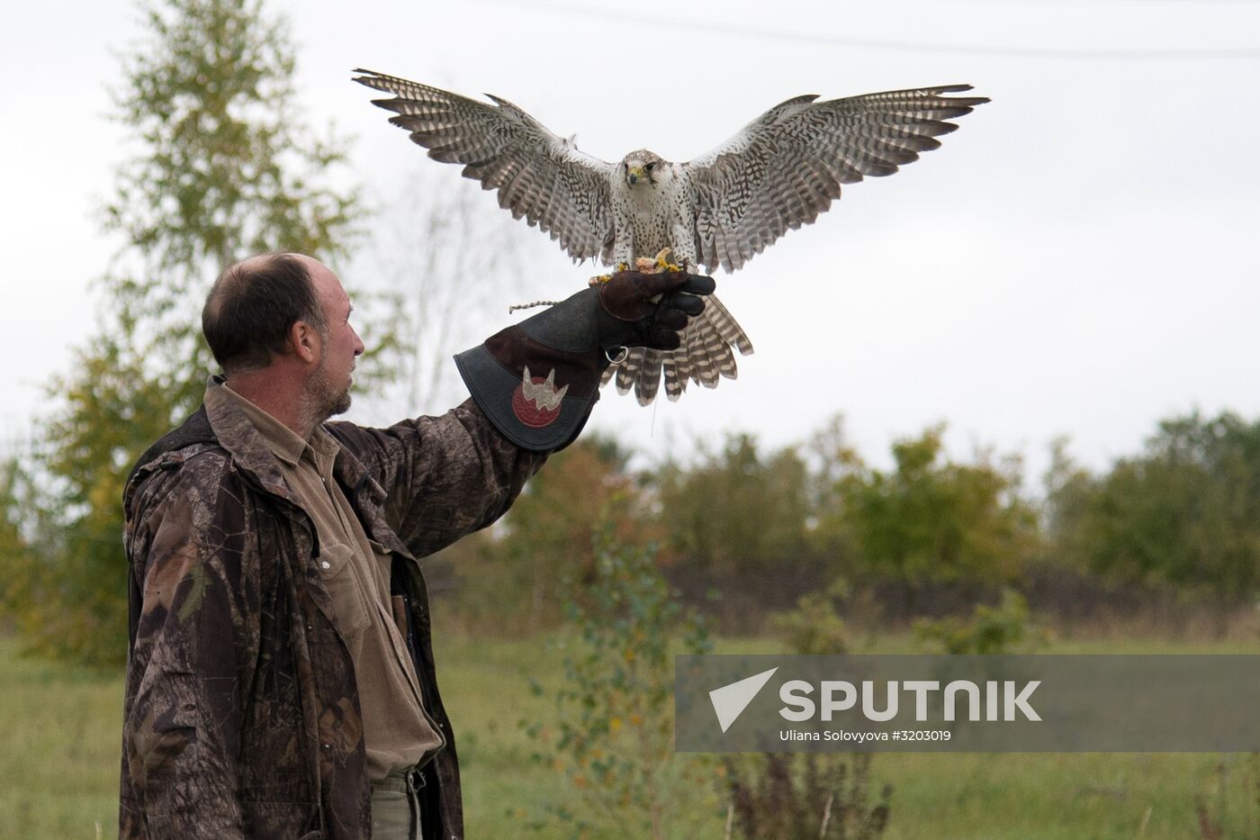 Russian nationwide contest among hunters with hunting birds, Gathering of Falconers 2017