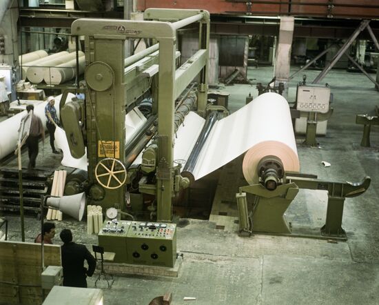 Syktyvkar Timber Processing Plant