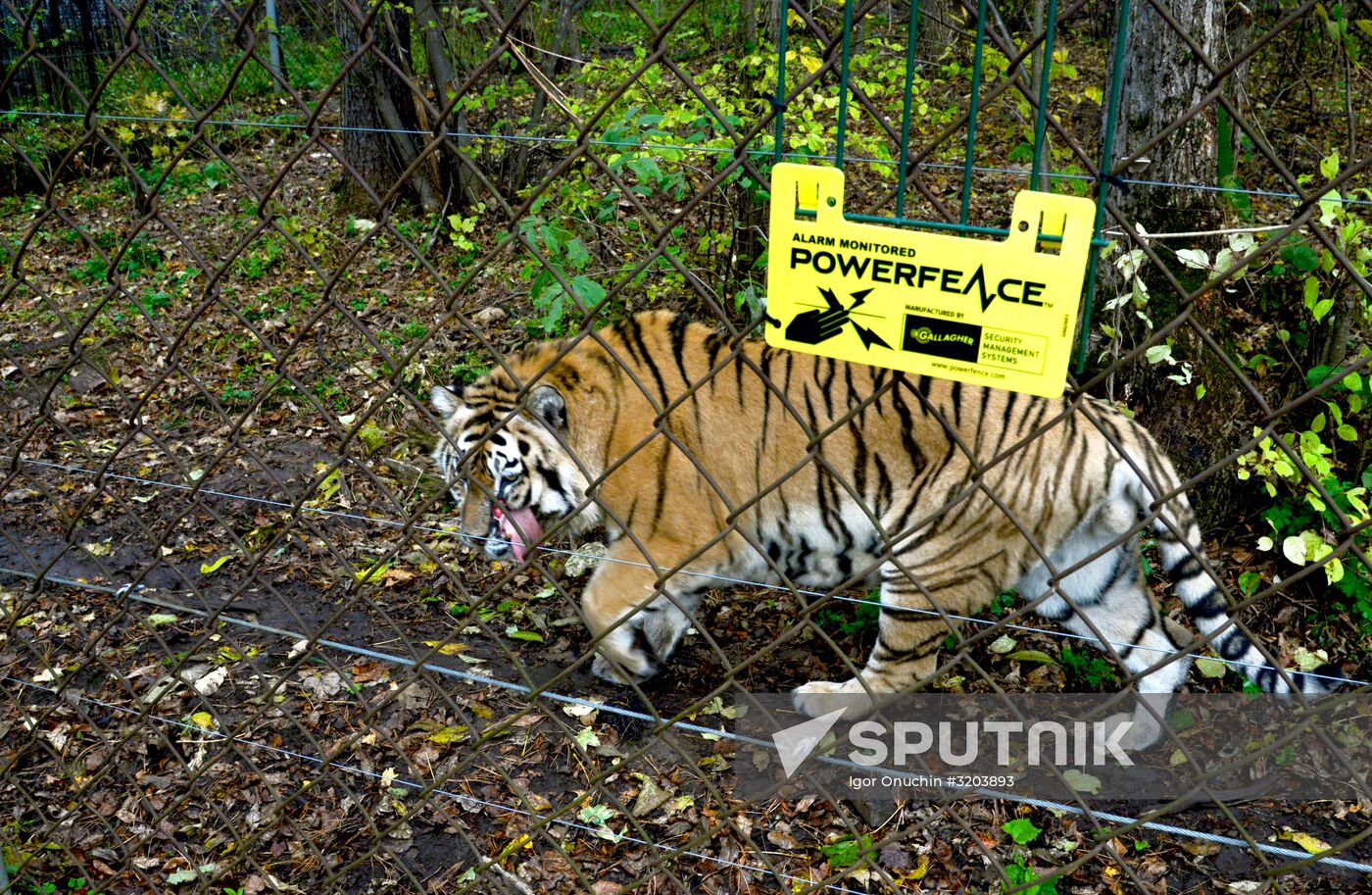 Utyos wildlife rehabilitation center in Khabarovsk Territory