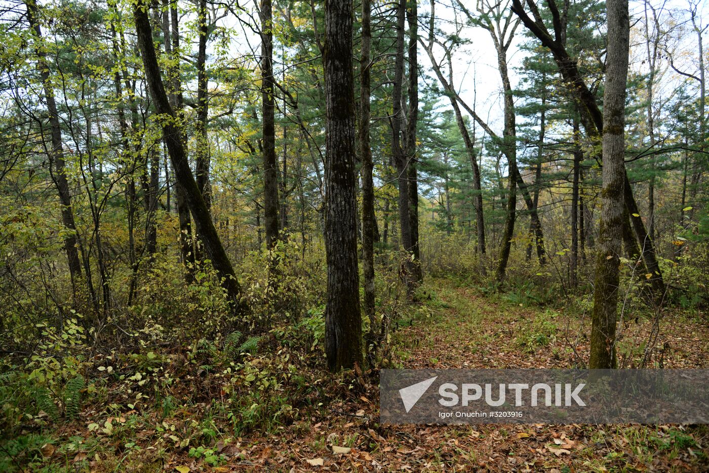Utyos wildlife rehabilitation center in Khabarovsk Territory
