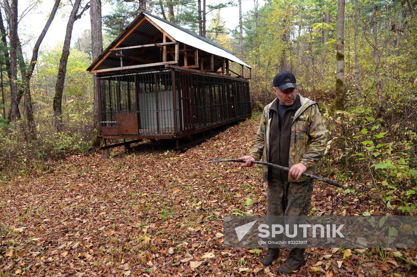 Utyos wildlife rehabilitation center in Khabarovsk Territory