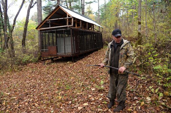 Utyos wildlife rehabilitation center in Khabarovsk Territory