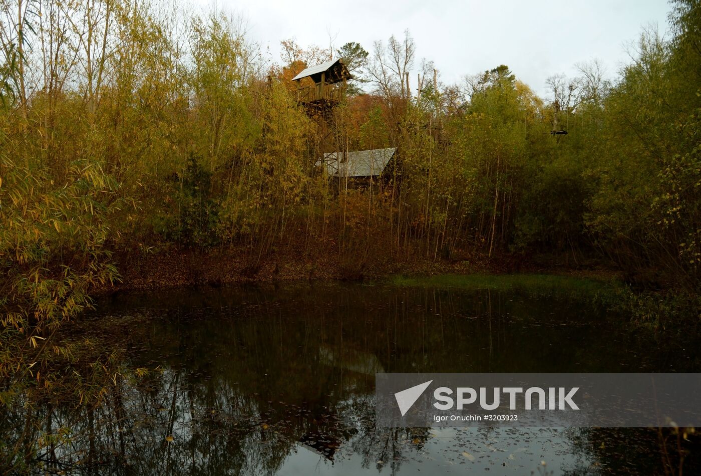 Utyos wildlife rehabilitation center in Khabarovsk Territory