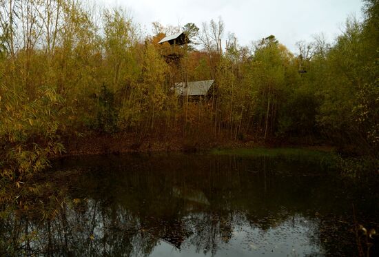 Utyos wildlife rehabilitation center in Khabarovsk Territory