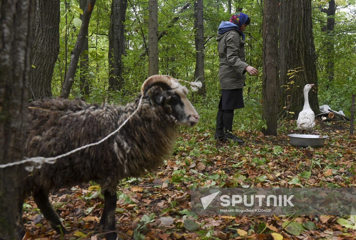 Mari native religion followers hold prayer service in sacred grove