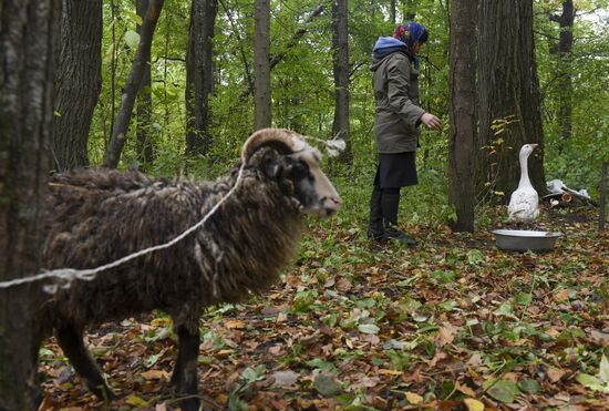 Mari native religion followers hold prayer service in sacred grove