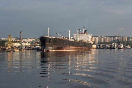 Ships in Kola Bay harbor