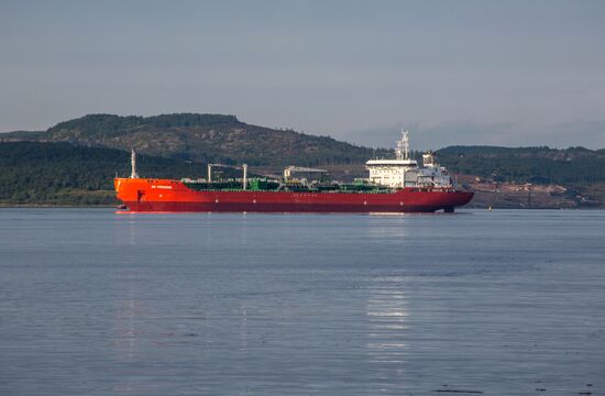 Ships in Kola Bay harbor