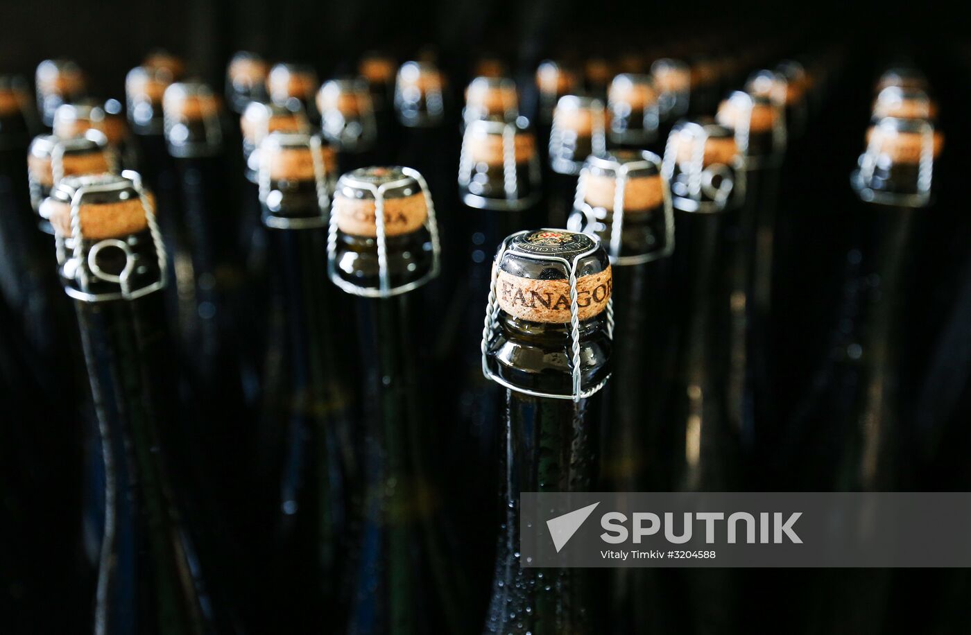 Fanagoria winery in Krasnodar Territory