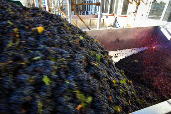 Fanagoria winery in Krasnodar Territory