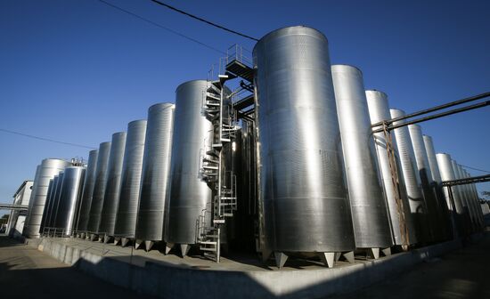 Fanagoria winery in Krasnodar Territory