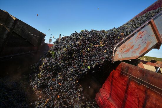 Fanagoria winery in Krasnodar Territory