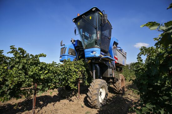 Fanagoria winery in Krasnodar Territory