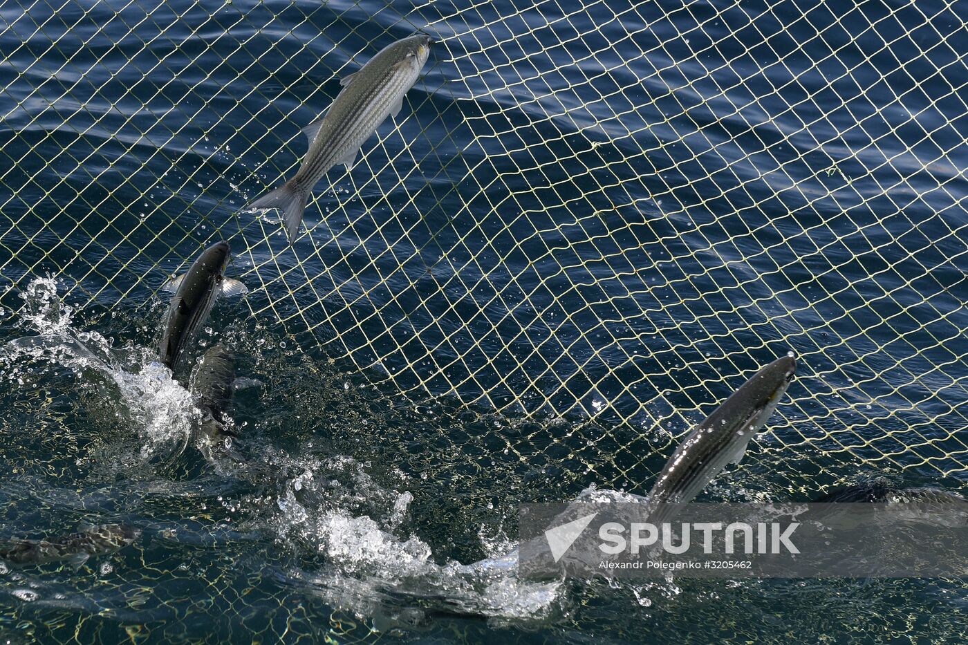 Fishing in Crimea