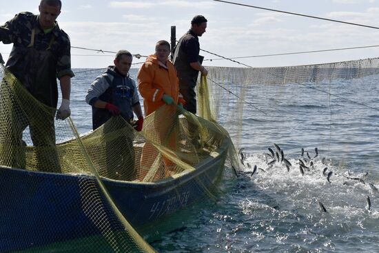 Fishing in Crimea