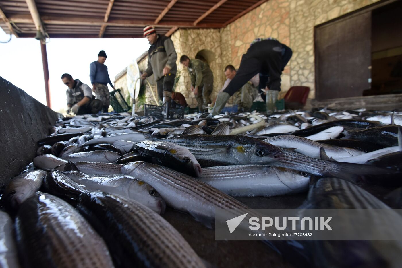 Fishing in Crimea