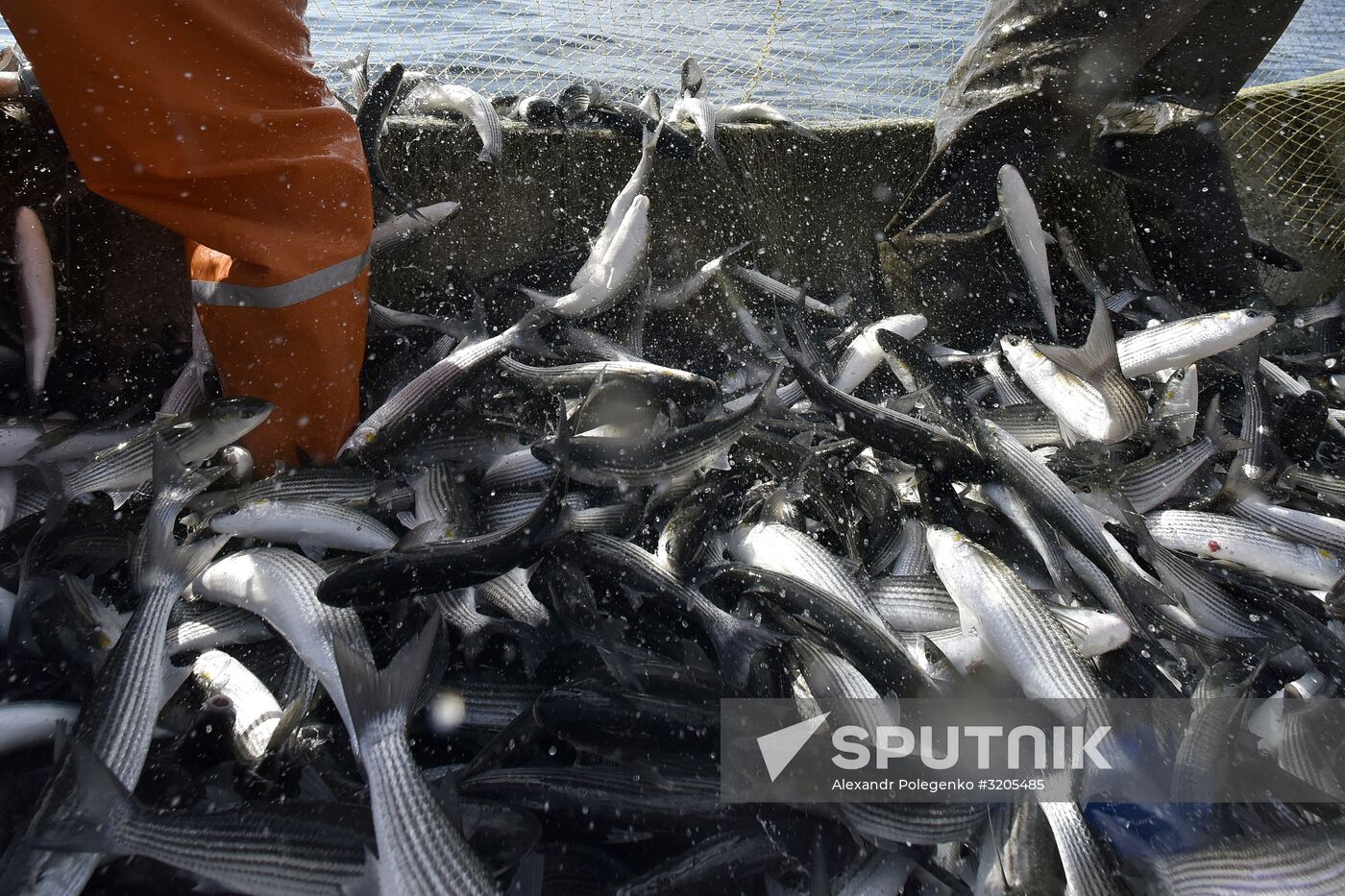 Fishing in Crimea