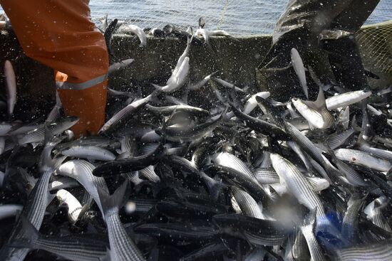 Fishing in Crimea