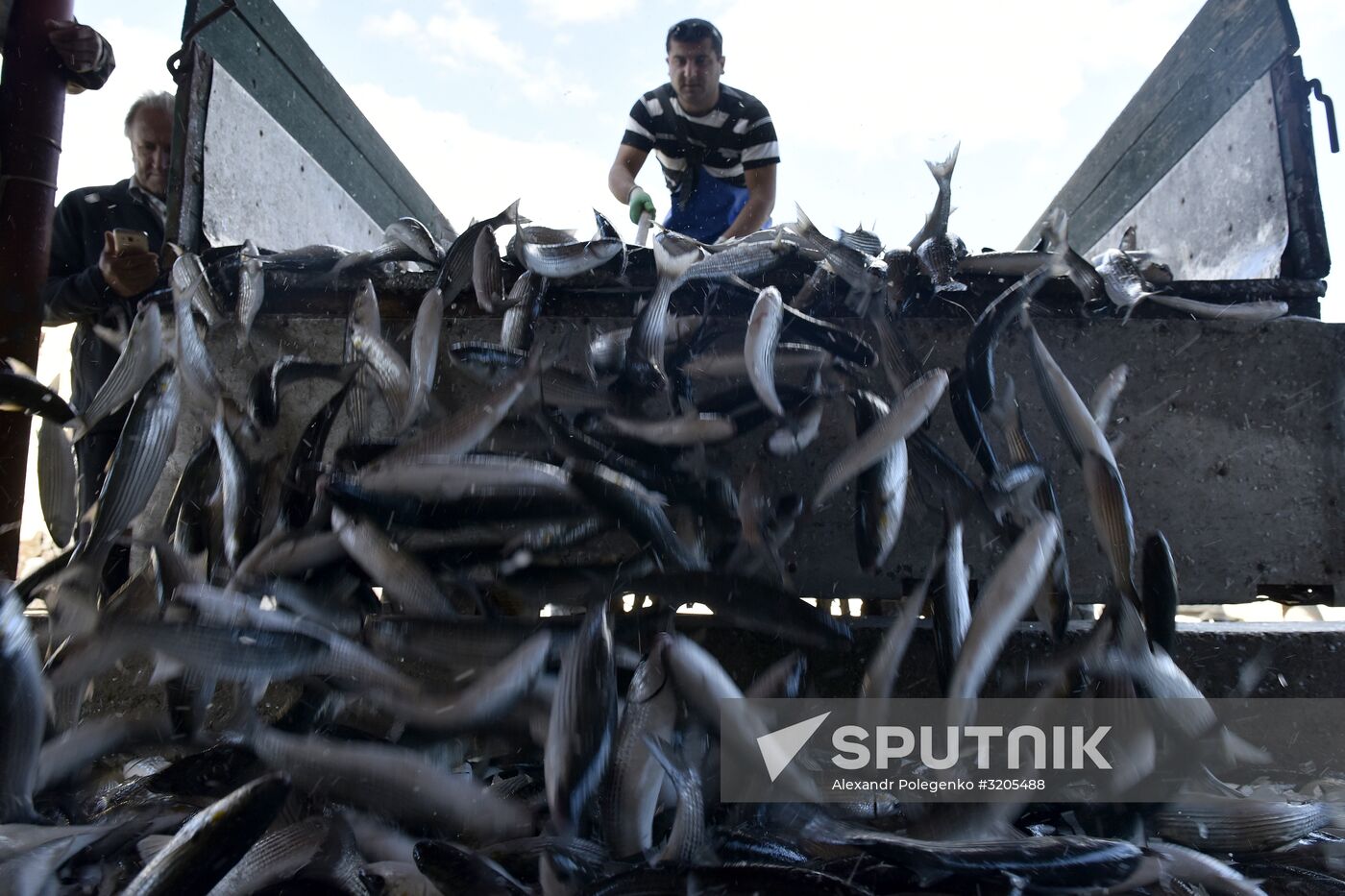 Fishing in Crimea