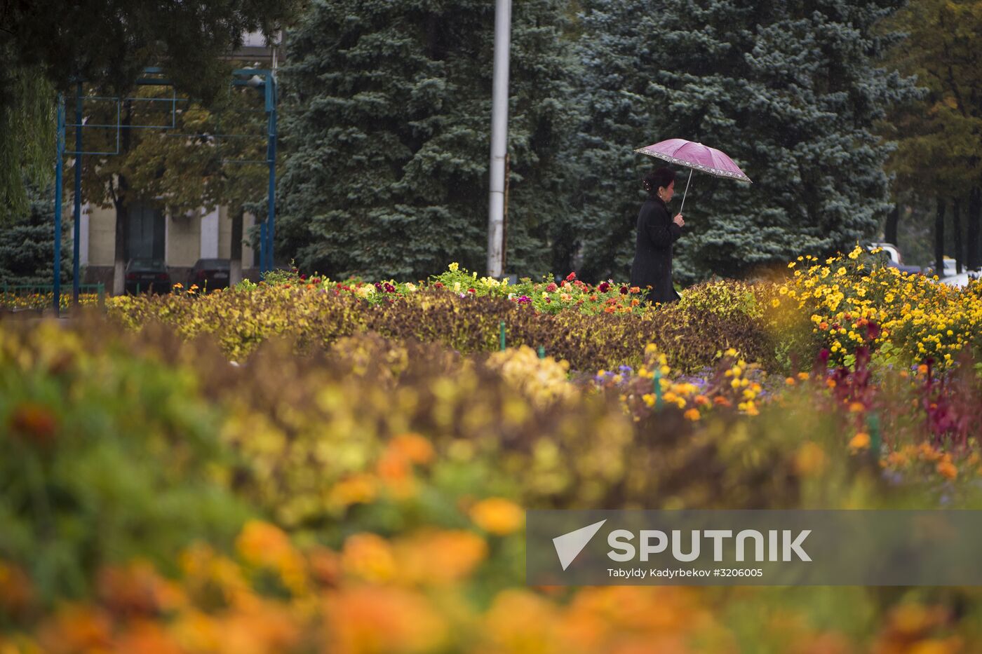 Fall in Bishkek